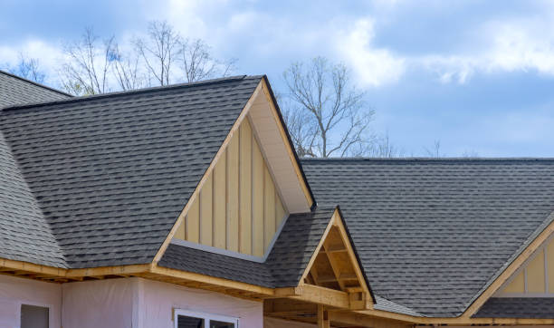 Best Roof Moss and Algae Removal  in Mountain View, CA