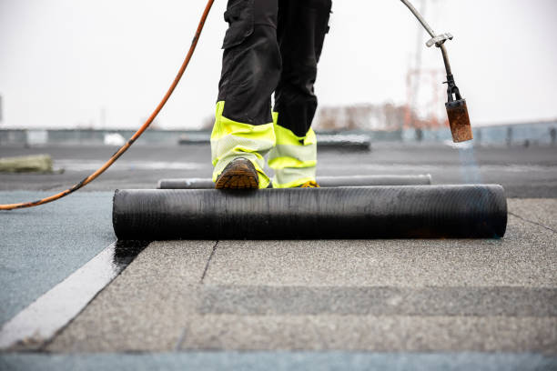 Best Roof Insulation Installation  in Mountain View, CA