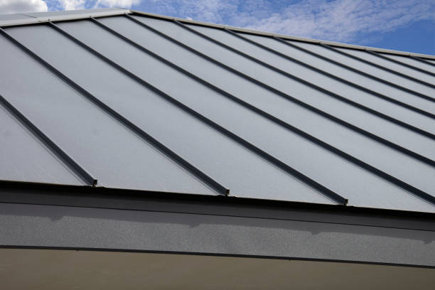 Best Roof Moss and Algae Removal  in Mountain View, CA